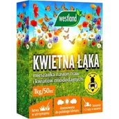Nasiona i cebule - KWIETNA ŁĄKA MIESZANKA MIODODAJNA 1KG WESTLAND - miniaturka - grafika 1
