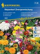 Nasiona i cebule - Kiepenkerl Mieszanka kwiatów niskopiennych Kiepenkerl 102622 - miniaturka - grafika 1