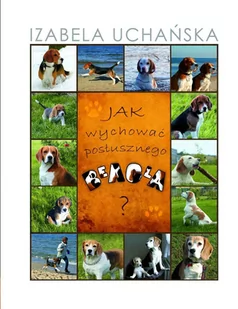 Jak wychować posłusznego beagla - E-booki - nauka - miniaturka - grafika 1