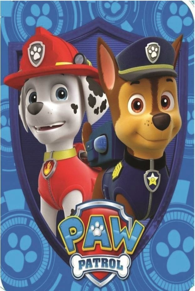 PUZZLE Paw Patrol Psi Patrol + IMIĘ Pudełko 120 el.