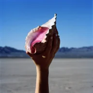 Inna muzyka - Wonderful Wonderful (The Killers) (CD / Album) - miniaturka - grafika 1