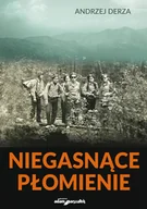 Historia Polski - Niegasnące płomienie - miniaturka - grafika 1