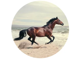 Dekoracyjny opłatek tortowy Koń - 20 cm - Ciasta i półprodukty do ciast - miniaturka - grafika 1