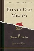 Przewodniki - Bits of Old Mexico (Classic Reprint) James A. Wilson - miniaturka - grafika 1