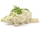 Pasze dla zwierząt - Krwawnik pospolity EQUIHERBS 1000g - miniaturka - grafika 1