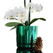 Donice - 14 cm wzór ZIELONY BŁYSZCZĄCY Doniczka z podstawką * nowoczesna * styl glamour * wysoki lustrzany połysk metaliczna * z drenażem * idealna do monst.. - miniaturka - grafika 1