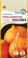 Nasiona i cebule - Dynia olbrzymia Dolores 2g / L / - miniaturka - grafika 1