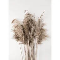 Obrazy i zdjęcia na płótnie - Obraz na płótnie 50 x 70 cm Bukiet traw - miniaturka - grafika 1