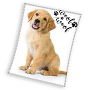 Koce i narzuty dla dzieci - ﻿koc młodzieżowy 150x200 Pies labrador Golden Retriever - miniaturka - grafika 1
