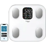 Wagi łazienkowe - Waga WEBBER IF2121AS - miniaturka - grafika 1
