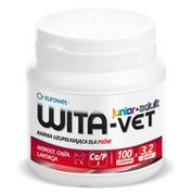 Suplementy i witaminy dla psów - EUROWET Wita-Vet Ca/P=2 - suplement z witaminami dla psów 3,2g 100 tab. - miniaturka - grafika 1
