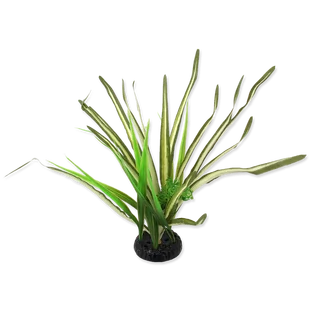 Repti Planet REPTI PLANET Spartina trawa 30cm sztuczna roślina do terrarium 007-55105 - Dekoracje do terrarium - miniaturka - grafika 1