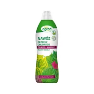 Nawozy ogrodnicze - Nawóz płynny przeciw chlorozie 900 ml Agrosimex - miniaturka - grafika 1