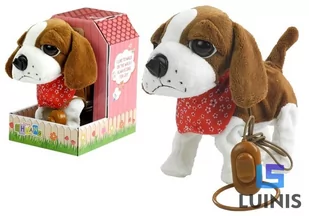 Import LEANToys Interaktywny Piesek Na Smyczy + Buda Biało-Brązowy 3977 - Zabawki interaktywne dla dzieci - miniaturka - grafika 1