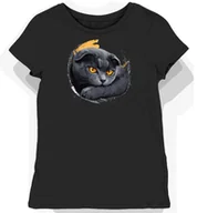 Koszulki i topy damskie - Koszulka damska czarna z motywem szarego szkockiego kota w blasku L - miniaturka - grafika 1