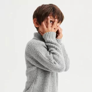Swetry dla chłopców - Reserved - Bawełniany golf - Jasny szary - grafika 1
