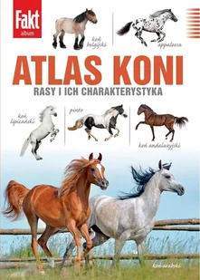 Fakt Album - Czasopisma - miniaturka - grafika 1