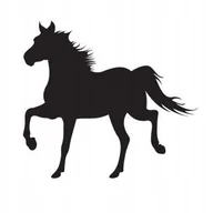 Naklejki na ścianę - Naklejka na ścianę - Koń 7, 53x48 cm - miniaturka - grafika 1