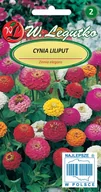 Nasiona i cebule - Cynia Karłowa Liliput kolorowa mieszanka 1g nasion - miniaturka - grafika 1