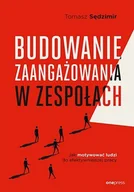 E-booki - biznes i ekonomia - Budowanie zaangażowania w zespołach. Jak motywować ludzi do efektywniejszej pracy - miniaturka - grafika 1