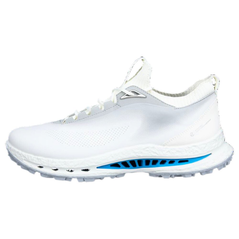 Męskie buty do golfa ecco Biom C5 White/Concrete EUR 40