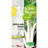 Nasiona i cebule - Blette o białych łodygach 1.5 g - miniaturka - grafika 1
