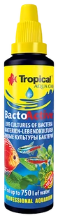 Tropical Bacto-Active 250Ml 34305 - Preparaty do akwarium - miniaturka - grafika 1