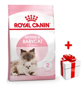 ROYAL CANIN  Mother&Babycat 4kg karma sucha dla kotek w okresie ciąży, laktacji i kociąt od 1 do 4 miesiąca życia + niespodzianka dla kota GRATIS! - Sucha karma dla kotów - miniaturka - grafika 1