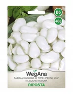 Nasiona i cebule - WegAna Fasola wielokwiatowa Riposta - miniaturka - grafika 1