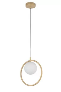 Aqua lampa wisząca 1-punktowa złota 33409 - Lampy sufitowe - miniaturka - grafika 1