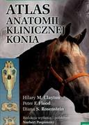 Podręczniki dla szkół wyższych - Edra Urban & Partner Atlas anatomii klinicznej konia - miniaturka - grafika 1