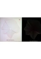 Książki o kulturze i sztuce - Rok Chopinowski Tom 1 i 2 z CD - miniaturka - grafika 1