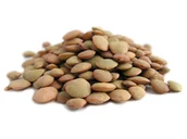 Ziarna i nasiona roślin strączkowych - SOCZEWICA ZIELONA 1 kg - Aromatika - miniaturka - grafika 1