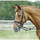 Ogłowia - Busse Ogłowie z nachrapnikiem angielskim kombinowanym GLITTER - Solibel - miniaturka - grafika 1