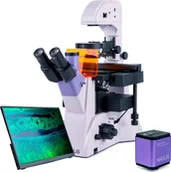 Mikroskopy i lupy - Mikroskop Magus Odwrócony mikroskop fluorescencyjny cyfrowy MAGUS Lum VD500L LCD - miniaturka - grafika 1