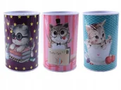 Skarbonki - METALOWA SKARBONKA duża 12,5cm x 8cm - miniaturka - grafika 1