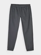 Spodnie sportowe męskie - 4F Spodnie sportowe w kolorze szarym - miniaturka - grafika 1