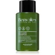Szampony do włosów - Alfaparf Milano Benvoleo, szampon regenerujący, 275ml - miniaturka - grafika 1
