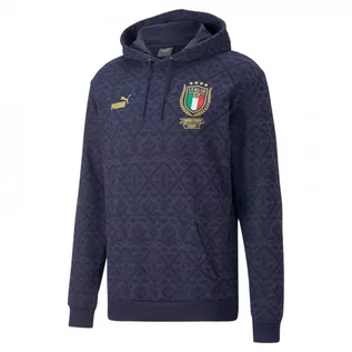 Bluzy męskie - Puma Bluza Męska Reprezentacji Włoch Figc Graphic Winner Hoody 769995-02 Xxl - grafika 1