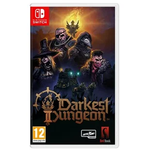Darkest Dungeon 2 Gra NINTENDO SWITCH - Gry Nintendo Switch - miniaturka - grafika 1