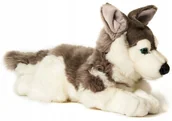 Maskotki i pluszaki - Maskotka Piesek Husky Leżący - 43cm - miniaturka - grafika 1
