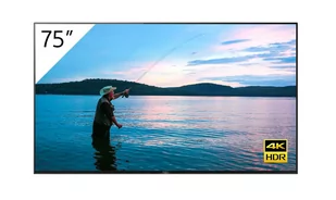 Sony FWD-75X95H/T - Monitory reklamowe i wyświetlacze - miniaturka - grafika 1