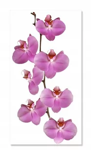 Naklejka z kwiatami kwiatki 50cm - Orchidea 2, 50x25 cm - Naklejki na ścianę - miniaturka - grafika 1