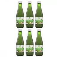 Soki i napoje niegazowane - Bio Food Sok z ogórków kiszonych zgrzewka 6 x 300 ml Bio - miniaturka - grafika 1