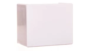 Legrand Łącznik kanału prosty LN 40x25 330984 330984 - Kanały kablowe - miniaturka - grafika 1