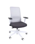 Fotele i krzesła biurowe - Fotel biurowy Nico WS, ergonomiczny, do biura, do gabinetu, na kółkach, krzesło do biura - miniaturka - grafika 1