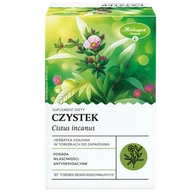 Herbata - Herbapol Czystek, herbatka ziołowa, 30 saszetek - miniaturka - grafika 1