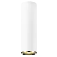 Oprawy, klosze i abażury - Minimalistyczna Lampa Przysufitowa Loya Natynkowa Oprawa Biała - miniaturka - grafika 1