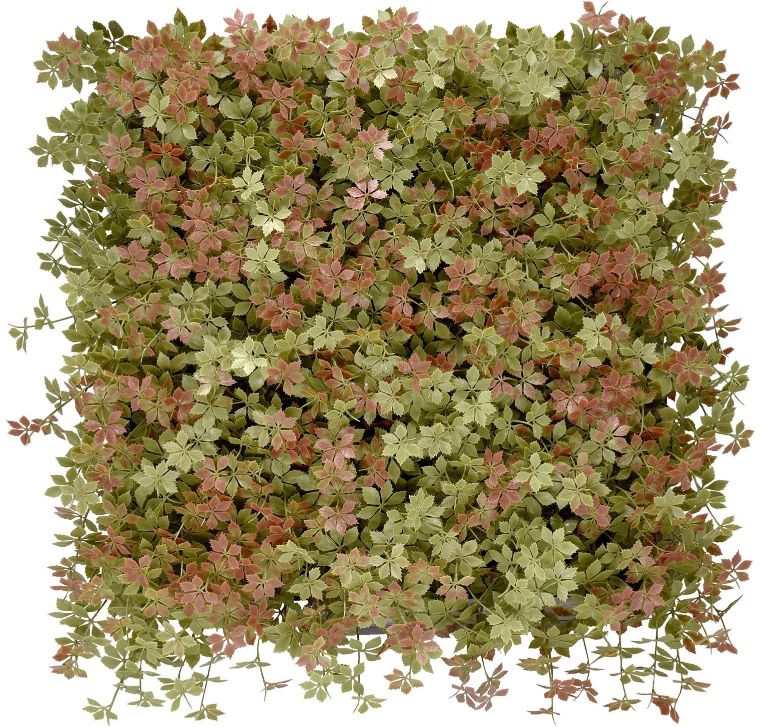 PANEL KOLOROWYCH ROŚLIN JIAOGULAN 50X50 CM