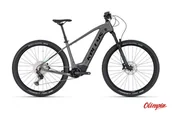 Rowery elektryczne - Rower elektryczny Kellys Tayen R90 P 29" 725Wh Grey 2022 - miniaturka - grafika 1